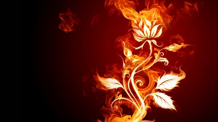 Fiery floral design with dark background