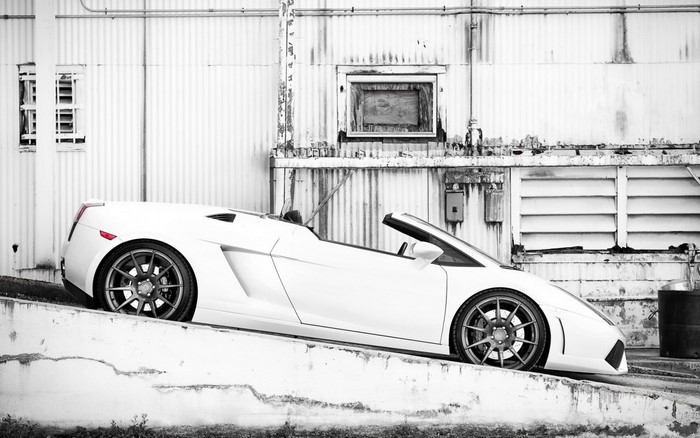 White Lamborghini Gallardo convertible on a ramp