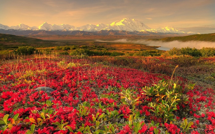Autumn tundra with snow-capped mountains and a lake
