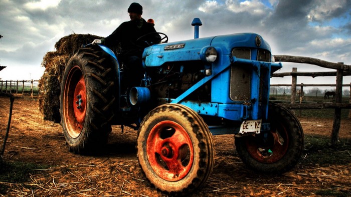 Blue tractor with hay bales and a farmer