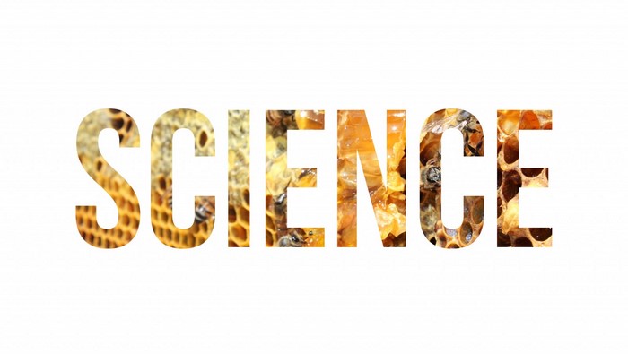 The word SCIENCE filled with bees and honeycomb