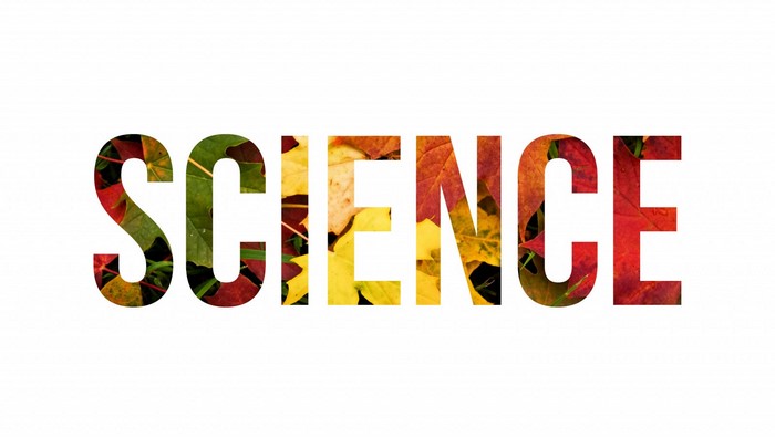 The word SCIENCE filled with autumn leaves