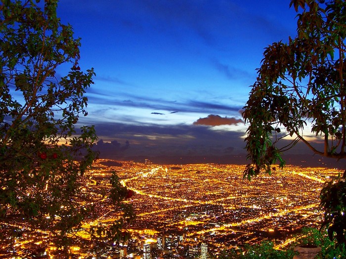 Cityscape at Dusk with Trees
