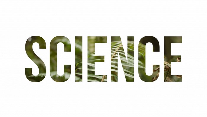 The word SCIENCE filled with a forest scene
