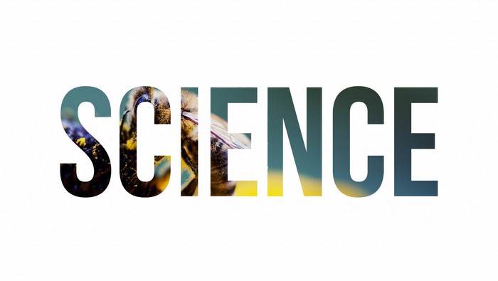 The word SCIENCE filled with images of a bee