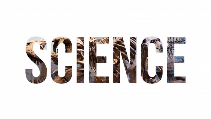 The word SCIENCE filled with dinosaur skeletons