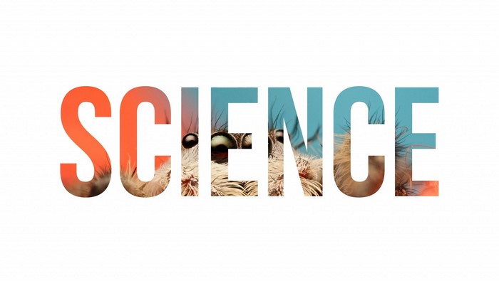 The word SCIENCE filled with images of an insect