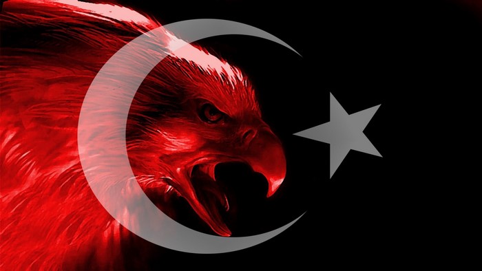 Red Eagle with Turkish Flag Symbols