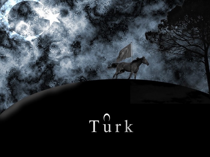 Horse with Turkish Flag under Crescent Moon