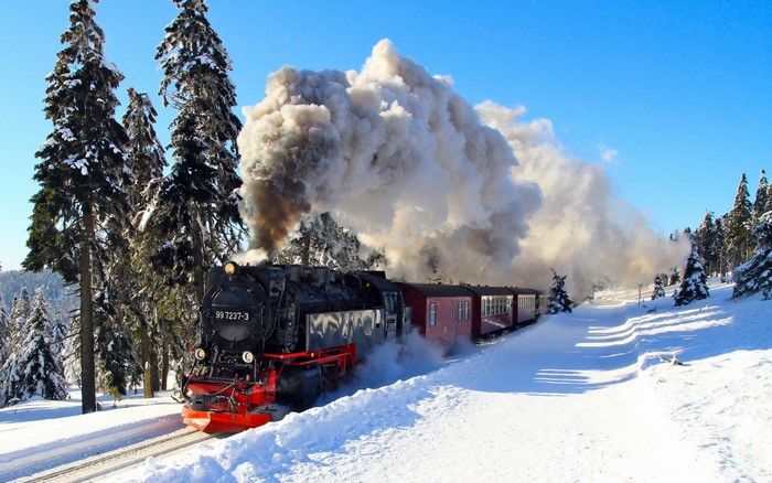 Steam locomotive 99 7237-3 in a snowy forest
