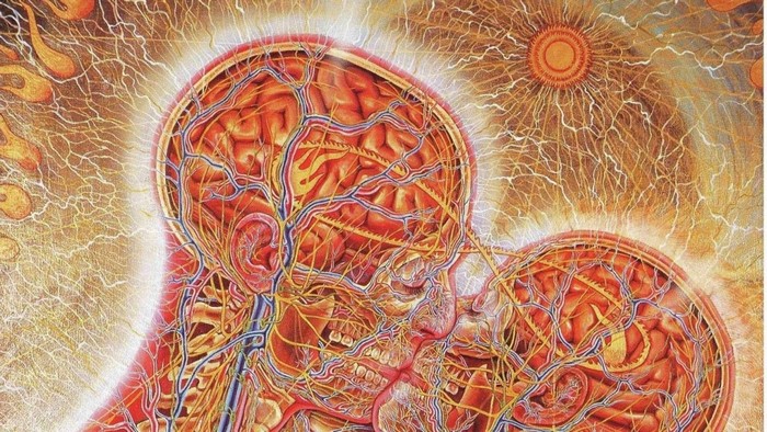 Psychedelic painting of kissing brains with neural connections