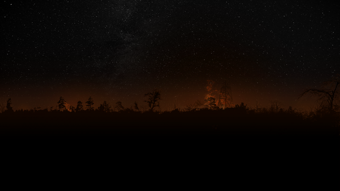 Night sky over a silhouetted forest with distant lights