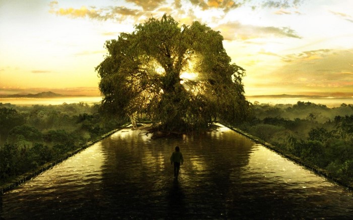 A person walks towards a large tree by a reflective pool at sunset