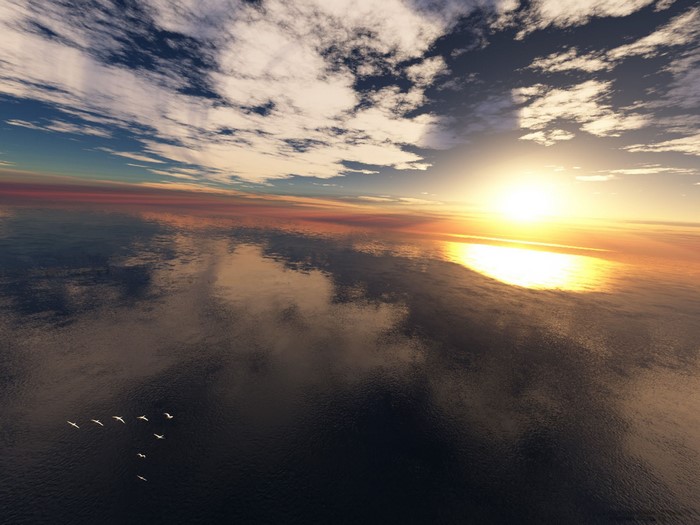 Flock of birds flying over the sea at sunset