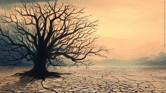 Bare tree in a dry, cracked landscape at sunset