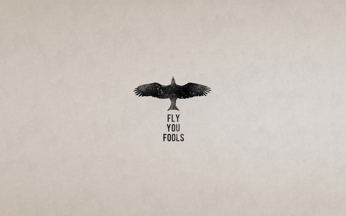 Bird with text "Fly You Fools"