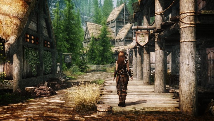 The Elder Scrolls V Skyrim screenshot of a female character