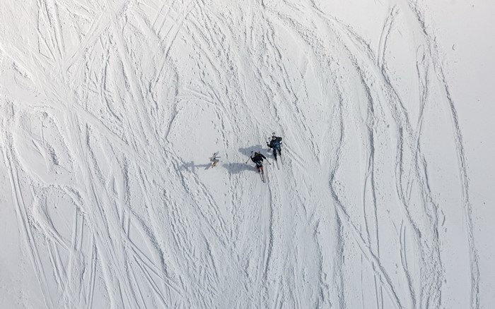 Three skiers on a snowy slope with ski tracks