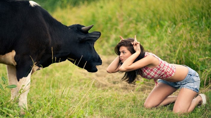Woman making faces at a cow in a field