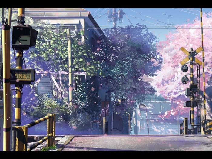 Railway crossing with cherry blossoms