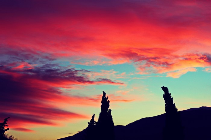 Silhouette of trees against a vibrant sunset sky