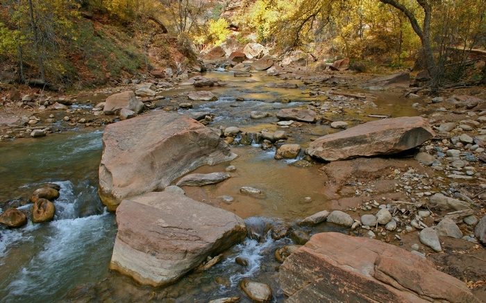 River flowing through a rocky canyon with autumn trees