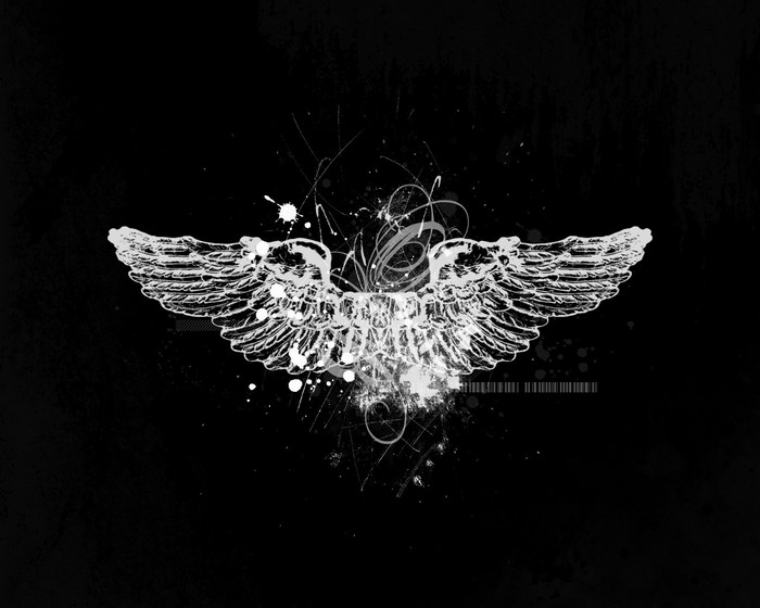 White wings with abstract elements on black background