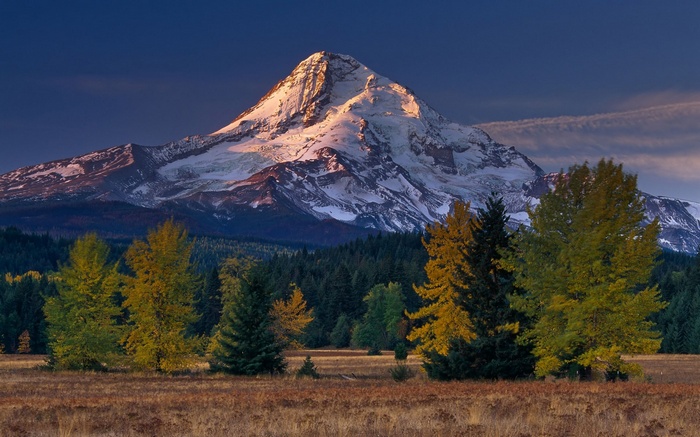 Snow-capped mountain peak at sunrise with autumn trees