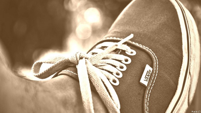 Close up of Vans shoe with white laces