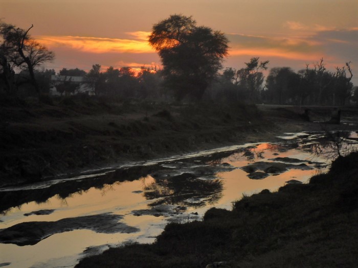 River reflecting sunset sky with trees and mist