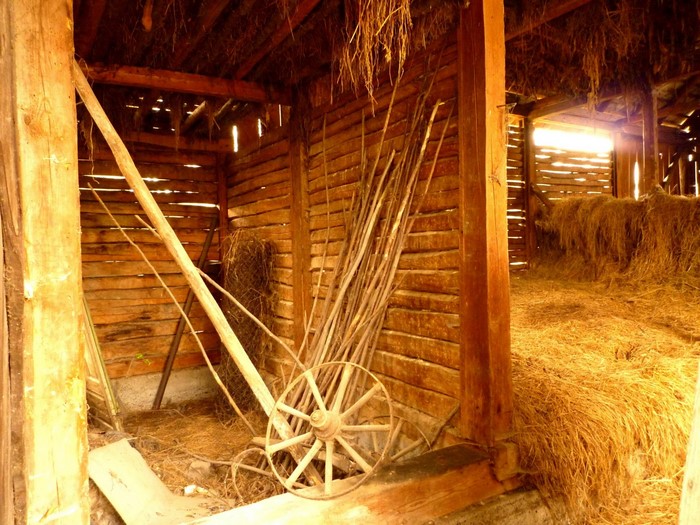 Interior of a rustic wooden barn with hay and old farming equipment