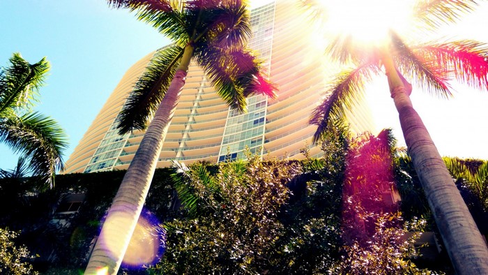 Palm trees in front of a modern building in Miami