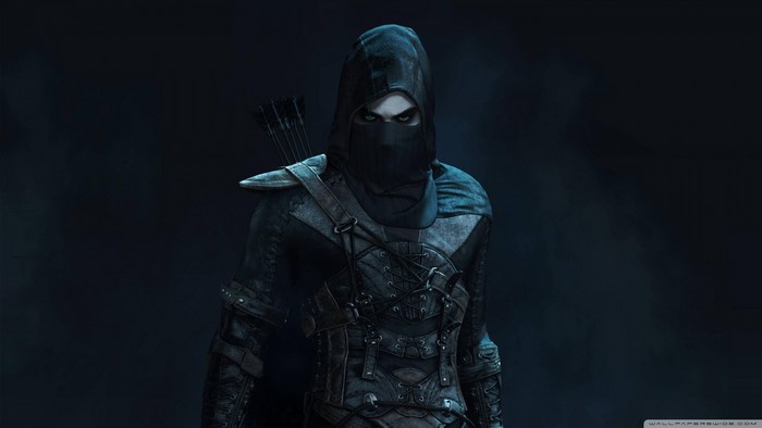 Thief in the darkness