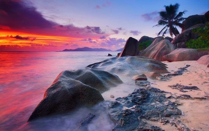 Sunset over a rocky beach with palm tree