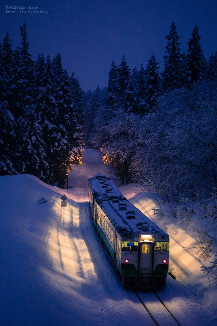 Train traveling through a snowy forest at night