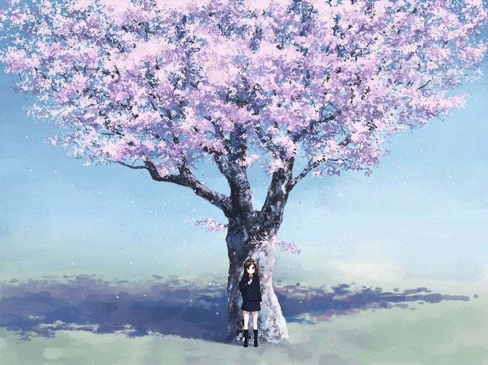 Girl under a blooming cherry blossom tree