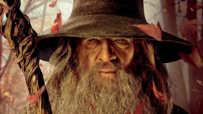 Gandalf from The Lord of the Rings with a staff