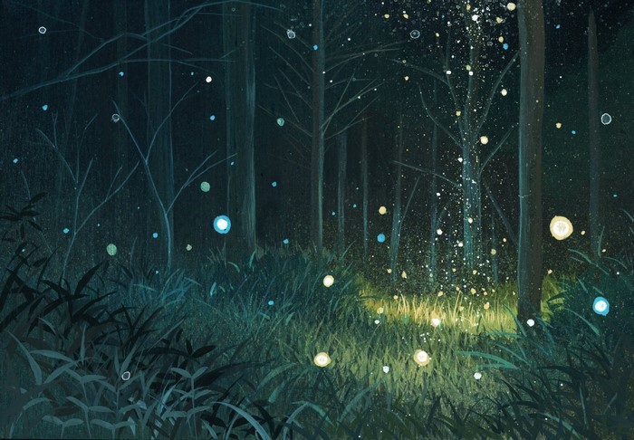Fireflies in a dark forest at night