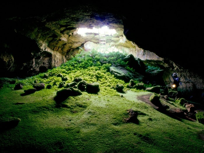 Mossy cave with sunlight and a person holding a flashlight