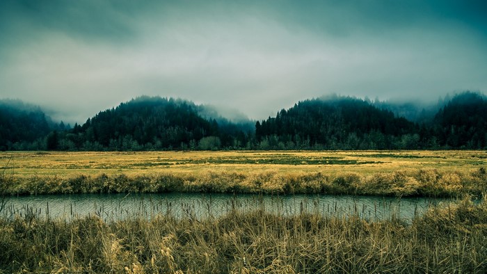 Misty forest hills over a golden field and river
