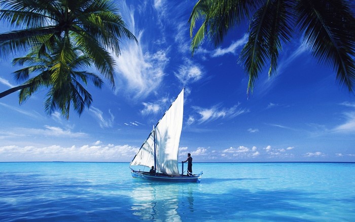 Sailboat on a turquoise sea under palm trees