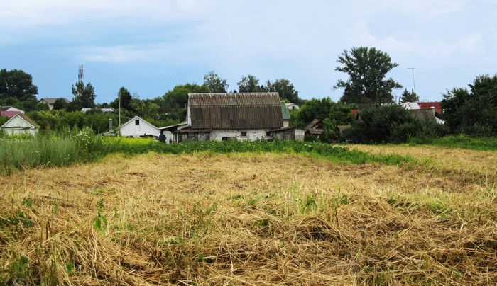Rural village with a mown field in the foreground
