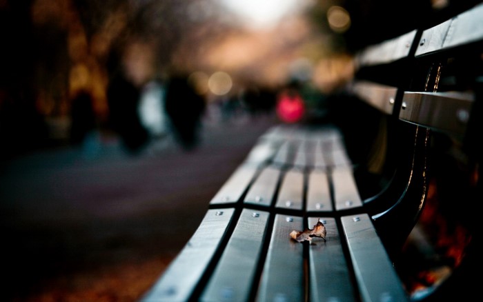 Bench in the dark with a leaf