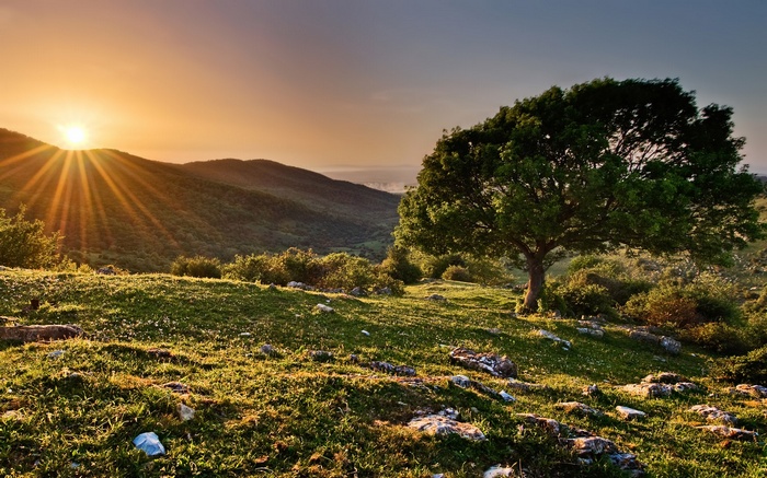 Sunrise over a tree-covered mountain landscape