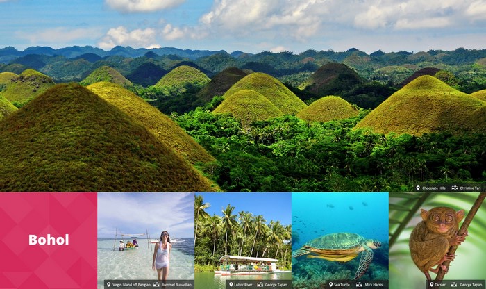 Bohol: Chocolate Hills, Virgin Island, Loboc River, Sea Turtle, Tarsier