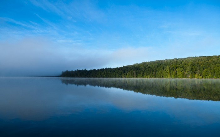 Misty lake with forest reflection at sunrise
