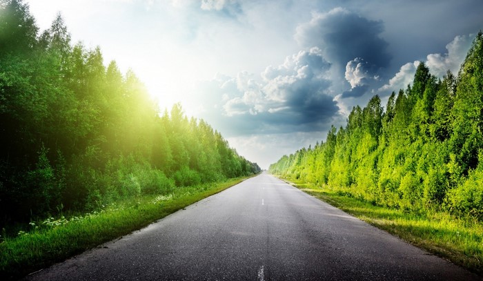 A straight asphalt road through a green forest with sunlight.