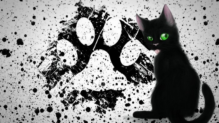 Black cat with green eyes on a paint splatter background
