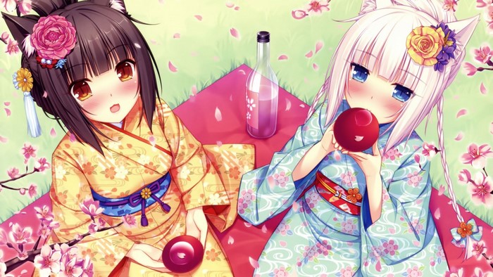 Neko Para Anime Girls Picnic Under Cherry Blossoms