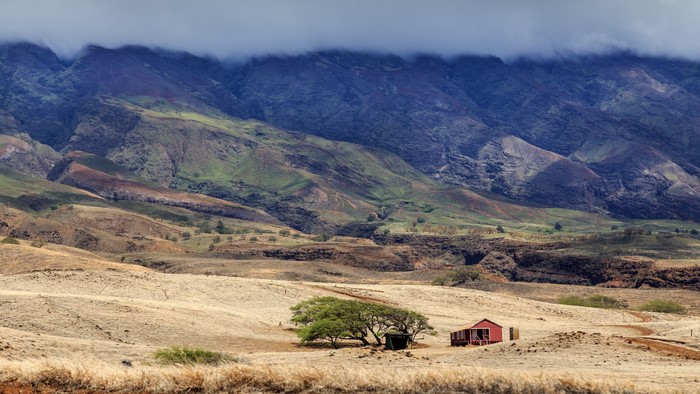 Red barn and tree in a dry landscape with mountains
